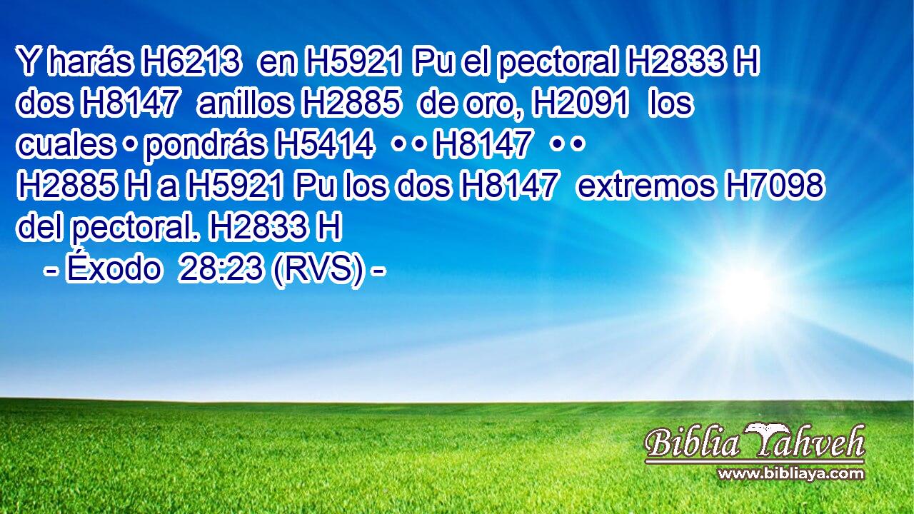Y harás H6213  en H5921 Pu el pectoral H2833 H dos H8147  anillos H2885  de oro, H2091  los cuales • pondrás H5414  • • H8147  • • H2885 H a H5921 Pu los dos H8147  extremos H7098  del pectoral. H2833 H 