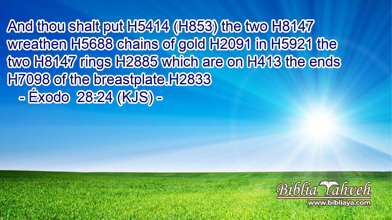 And thou shalt put H5414 (H853) the two H8147 wreathen H5688 chains of gold H2091 in H5921 the two H8147 rings H2885 which are on H413 the ends H7098 of the breastplate.H2833