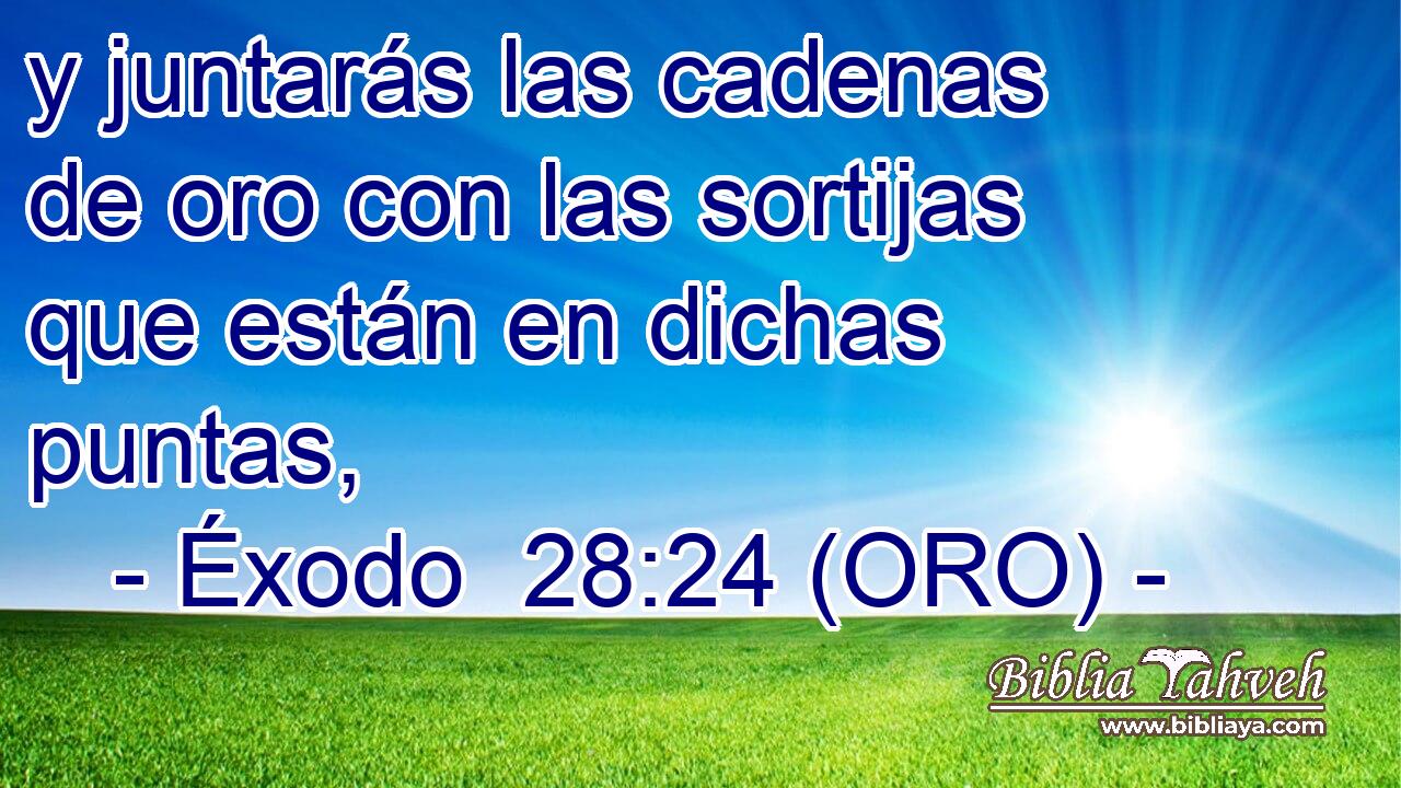  y juntarás las cadenas de oro con las sortijas que están en dichas puntas, 