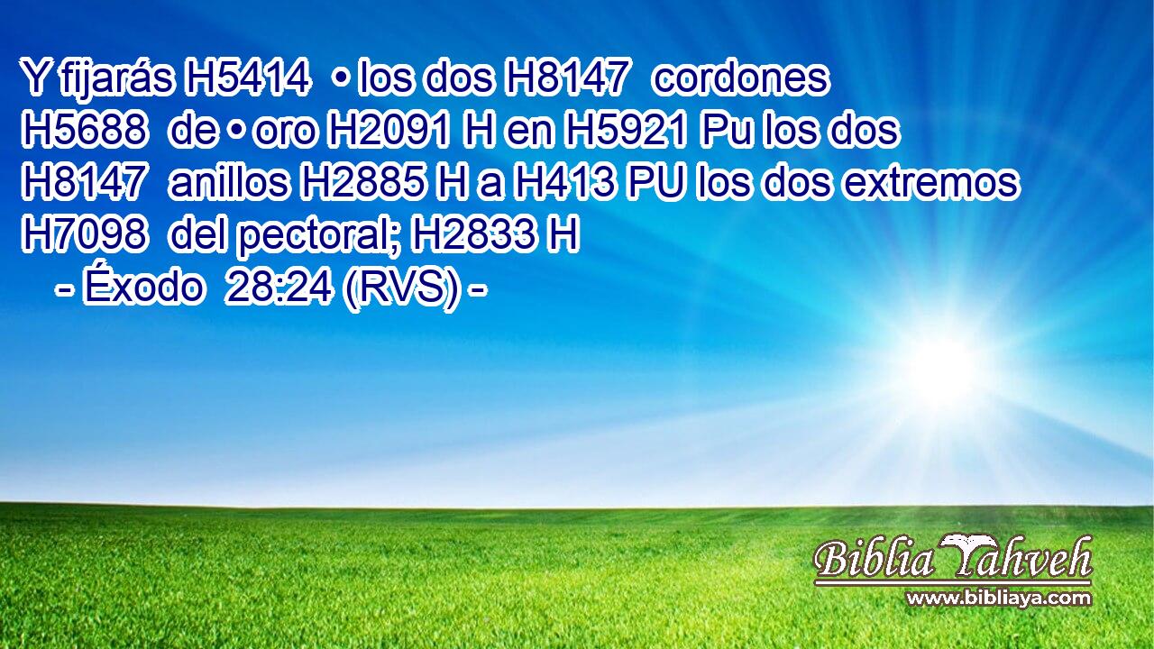 Y fijarás H5414  • los dos H8147  cordones H5688  de • oro H2091 H en H5921 Pu los dos H8147  anillos H2885 H a H413 PU los dos extremos H7098  del pectoral; H2833 H 