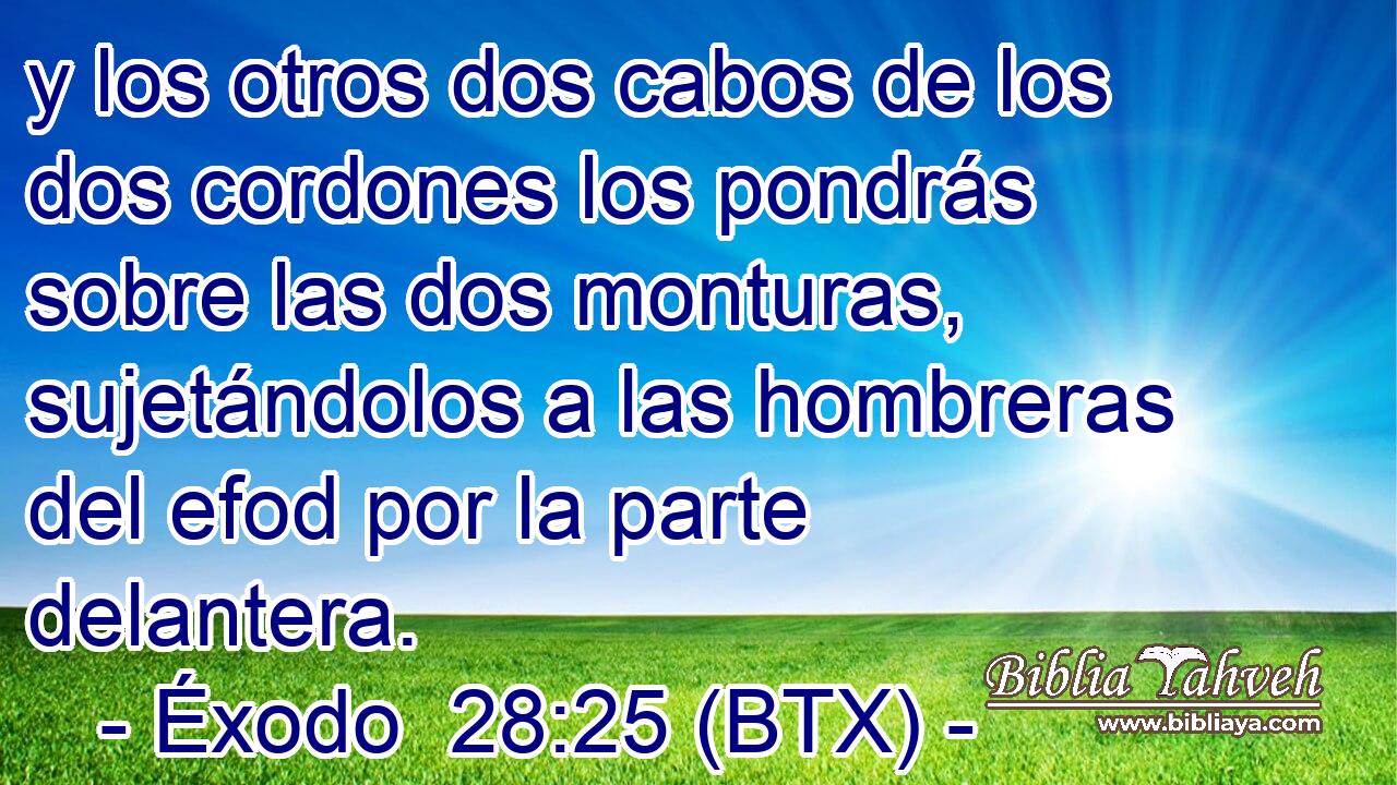 y los otros dos cabos de los dos cordones los pondrás sobre las dos monturas, sujetándolos a las hombreras del efod por la parte delantera.