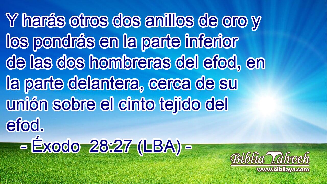 Y harás otros dos anillos de oro y los pondrás en la parte inferior de las dos hombreras del efod, en la parte delantera, cerca de su unión sobre el cinto tejido del efod.