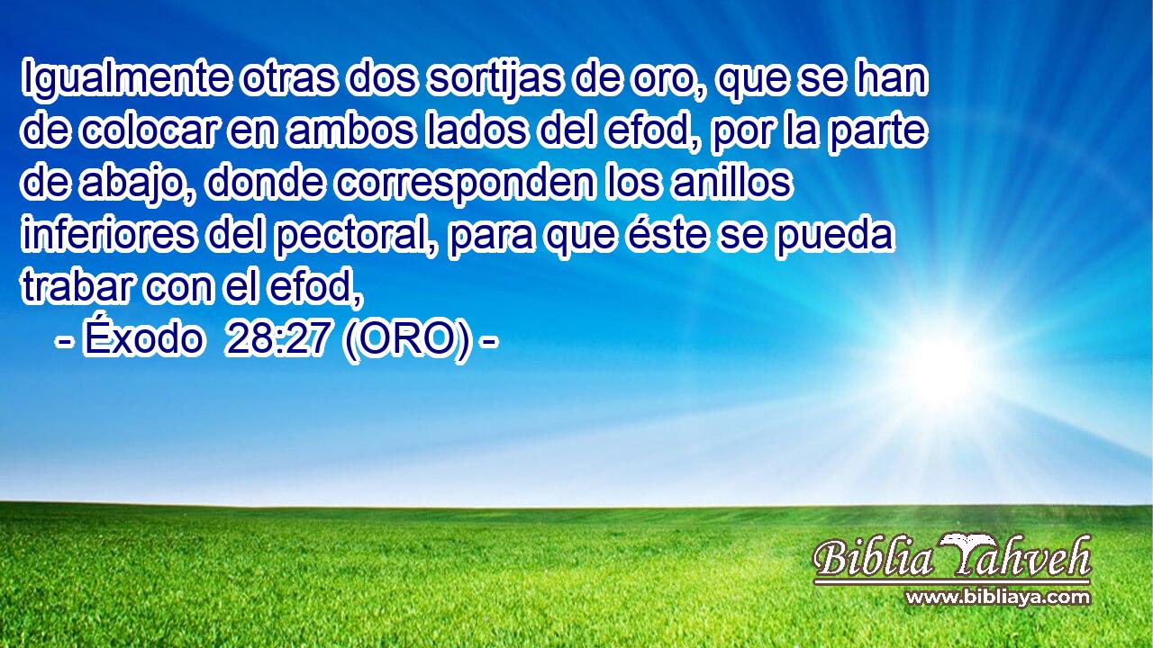  Igualmente otras dos sortijas de oro, que se han de colocar en ambos lados del efod, por la parte de abajo, donde corresponden los anillos inferiores del pectoral, para que éste se pueda trabar con el efod, 