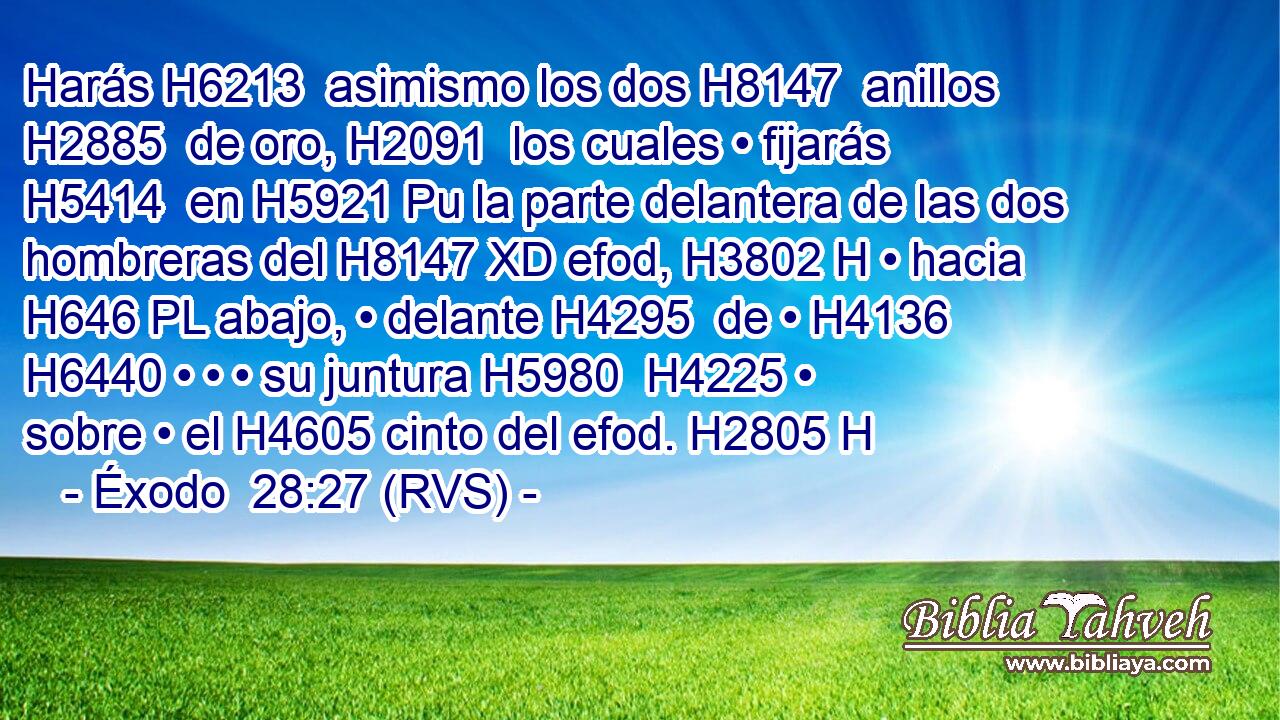 Harás H6213  asimismo los dos H8147  anillos H2885  de oro, H2091  los cuales • fijarás H5414  en H5921 Pu la parte delantera de las dos hombreras del H8147 XD efod, H3802 H • hacia H646 PL abajo, • delante H4295  de • H4136  H6440 • • • su juntura H5980  H4225 • sobre • el H4605 cinto del efod. H2805 H 