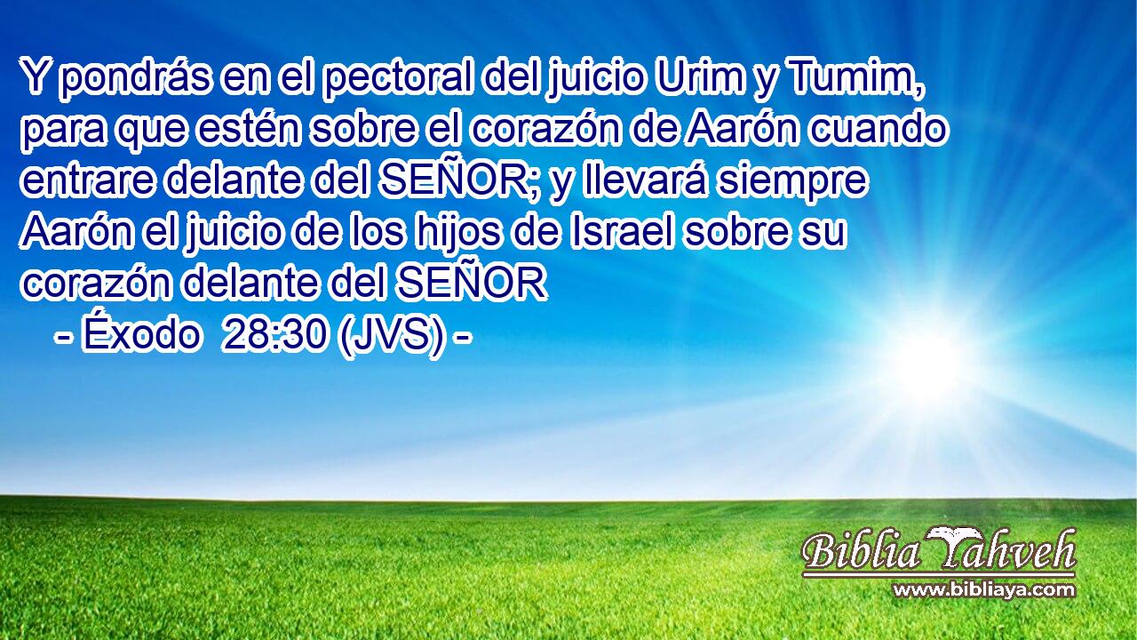 Y pondrás en el pectoral del juicio Urim y Tumim, para que estén sobre el corazón de Aarón cuando entrare delante del SEÑOR; y llevará siempre Aarón el juicio de los hijos de Israel sobre su corazón delante del SEÑOR