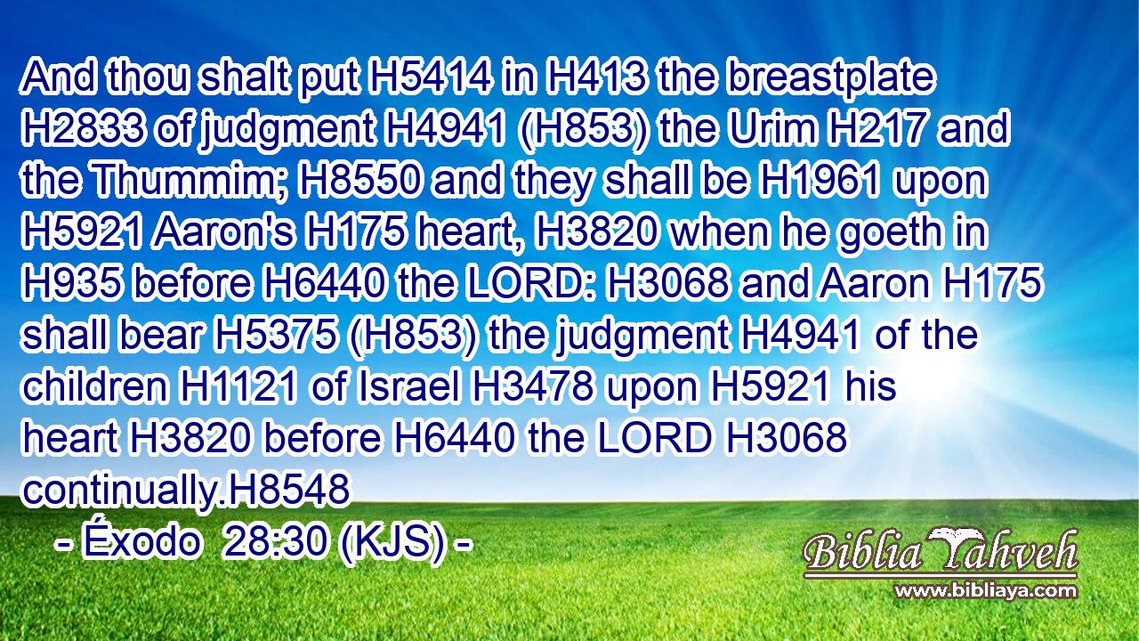 And thou shalt put H5414 in H413 the breastplate H2833 of judgment H4941 (H853) the Urim H217 and the Thummim; H8550 and they shall be H1961 upon H5921 Aaron's H175 heart, H3820 when he goeth in H935 before H6440 the LORD: H3068 and Aaron H175 shall bear H5375 (H853) the judgment H4941 of the children H1121 of Israel H3478 upon H5921 his heart H3820 before H6440 the LORD H3068 continually.H8548