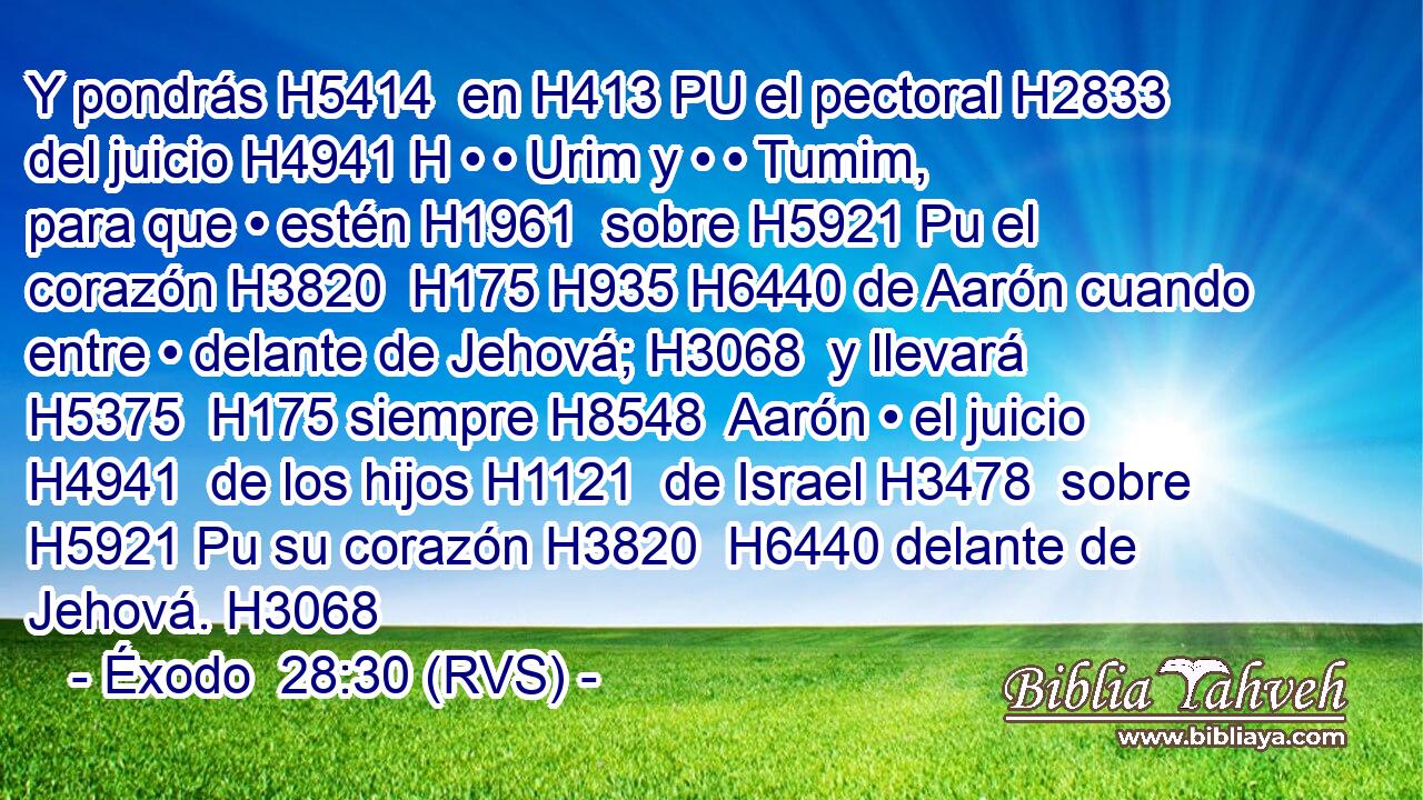 Y pondrás H5414  en H413 PU el pectoral H2833  del juicio H4941 H • • Urim y • • Tumim, para que • estén H1961  sobre H5921 Pu el corazón H3820  H175 H935 H6440 de Aarón cuando entre • delante de Jehová; H3068  y llevará H5375  H175 siempre H8548  Aarón • el juicio H4941  de los hijos H1121  de Israel H3478  sobre H5921 Pu su corazón H3820  H6440 delante de Jehová. H3068  