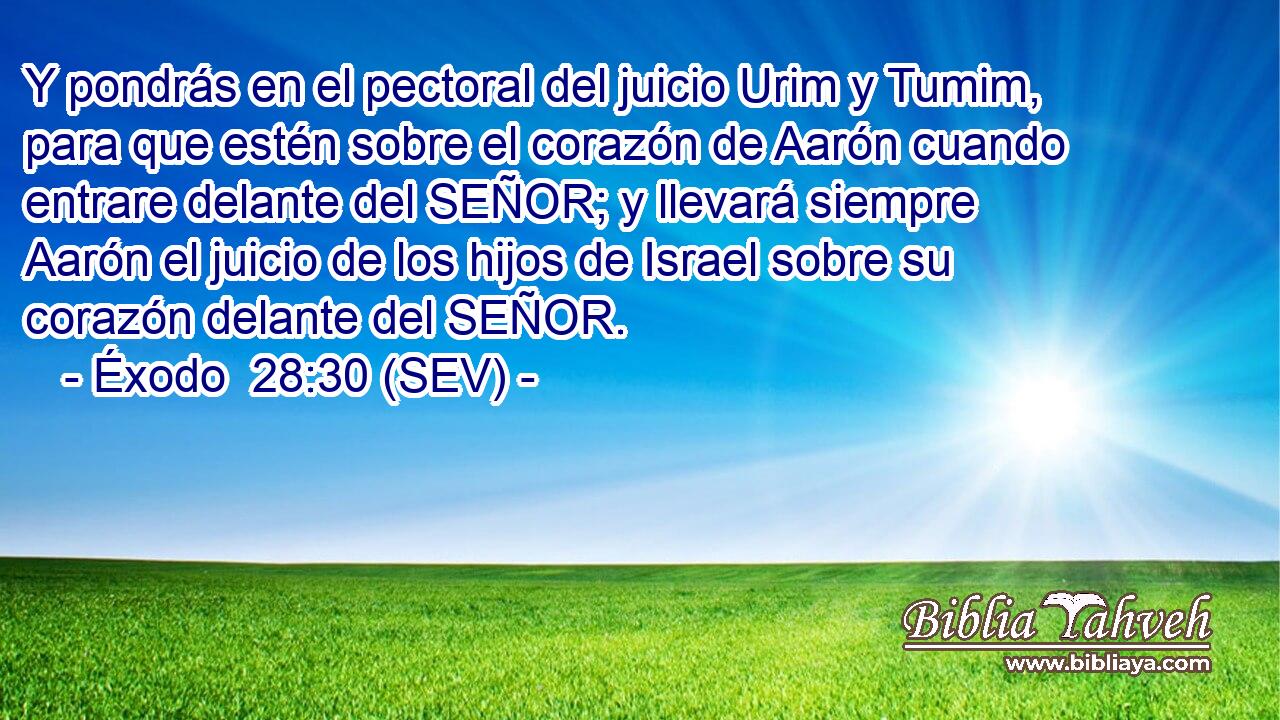 Y pondrás en el pectoral del juicio Urim y Tumim, para que estén sobre el corazón de Aarón cuando entrare delante del SEÑOR; y llevará siempre Aarón el juicio de los hijos de Israel sobre su corazón delante del SEÑOR.
