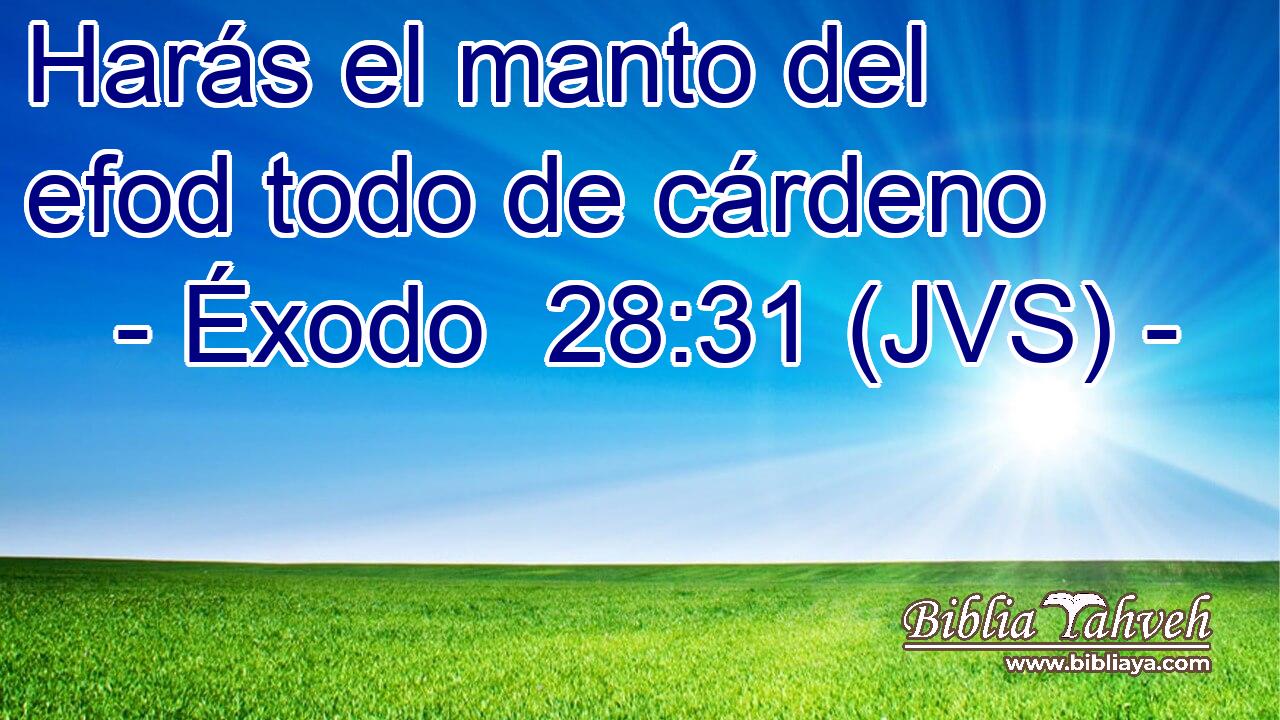 Harás el manto del efod todo de cárdeno