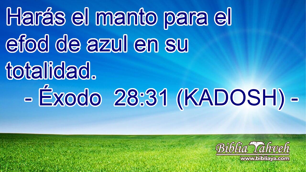  Harás el manto para el efod de azul en su totalidad. 