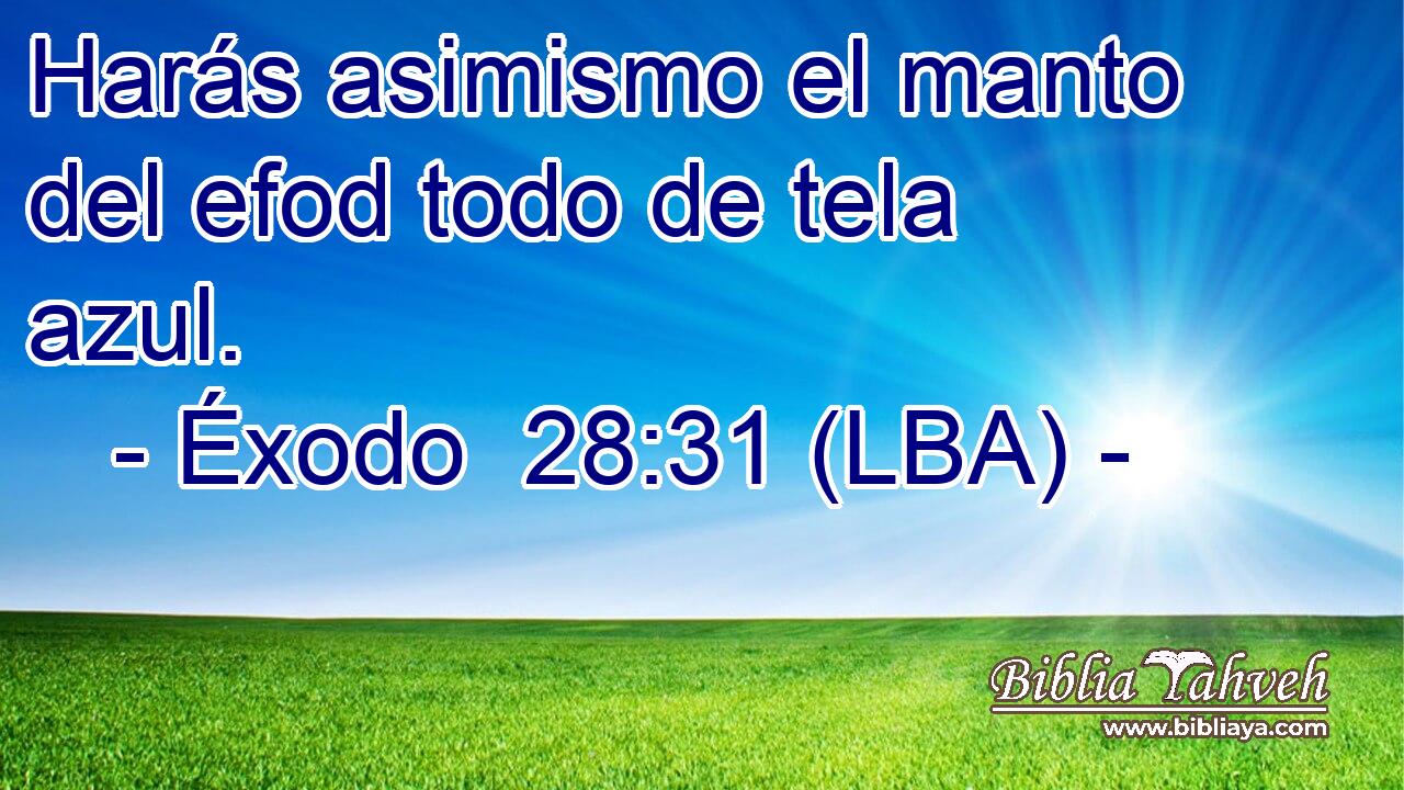 Harás asimismo el manto del efod todo de tela azul.