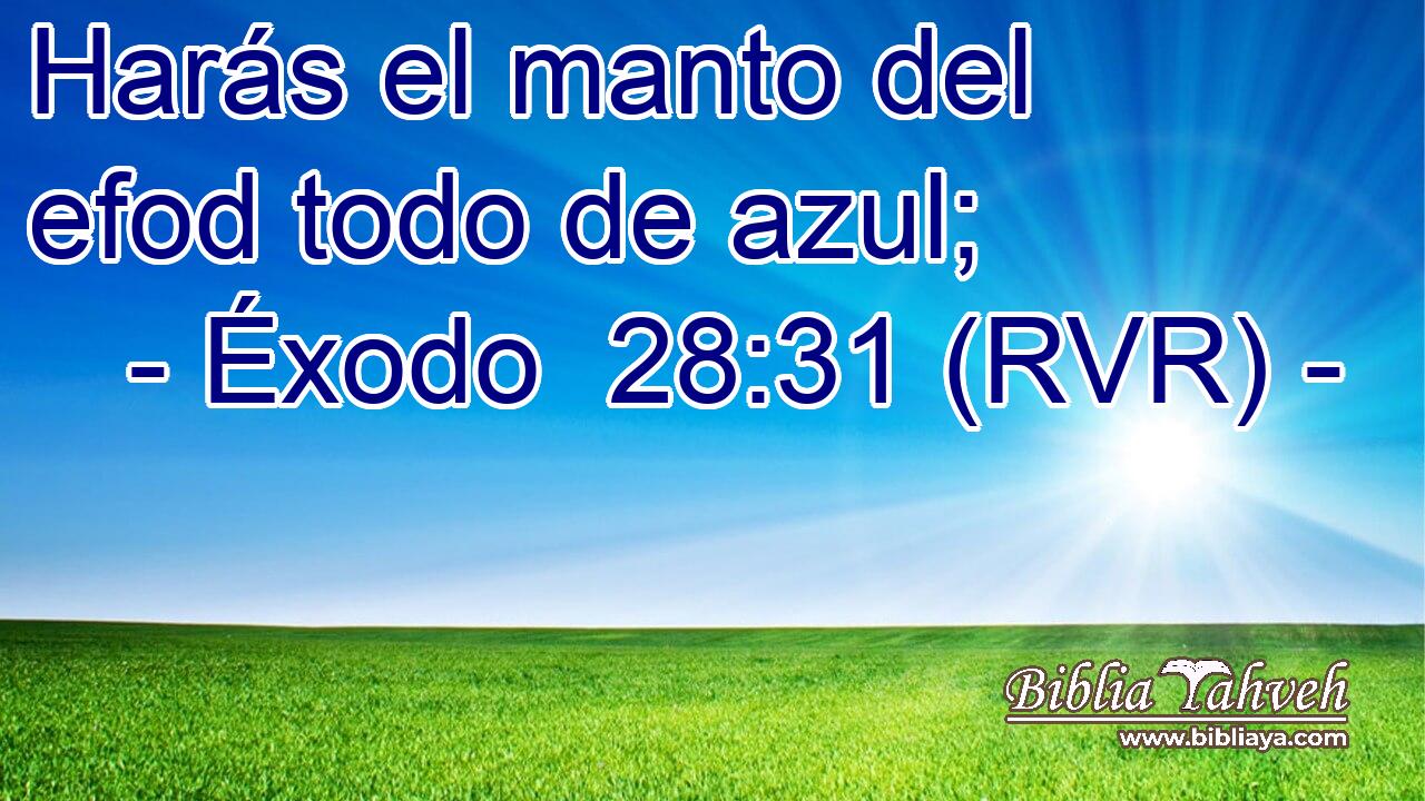 Harás el manto del efod todo de azul;