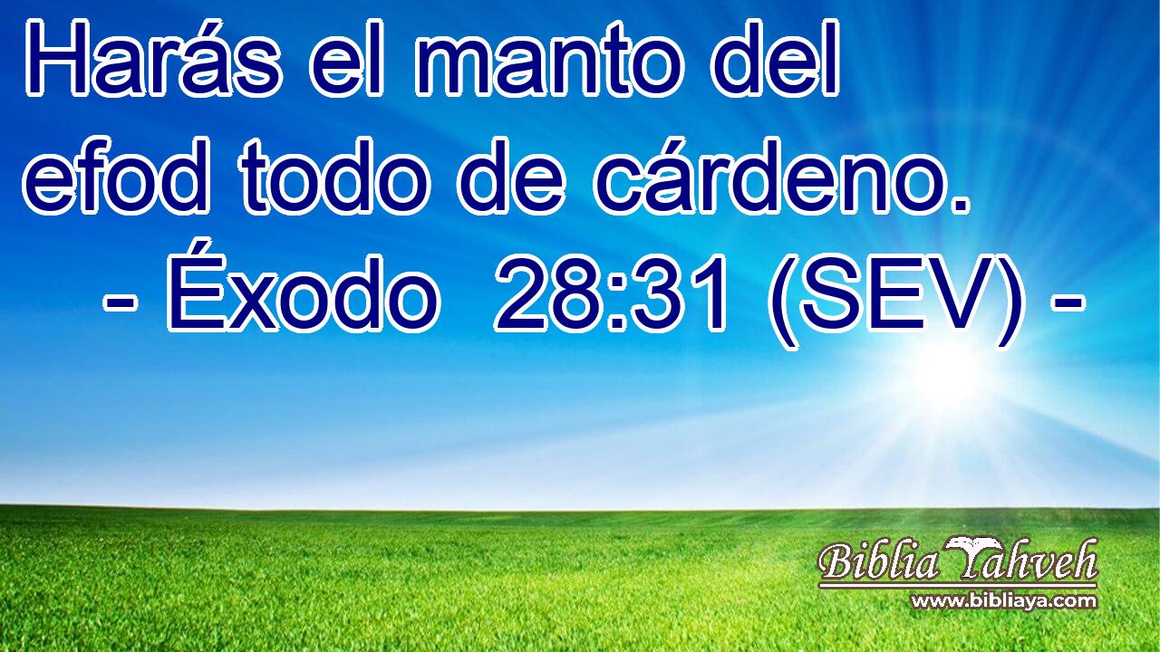 Harás el manto del efod todo de cárdeno.