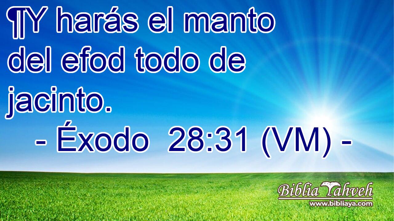  ¶Y harás el manto del efod todo de jacinto. 