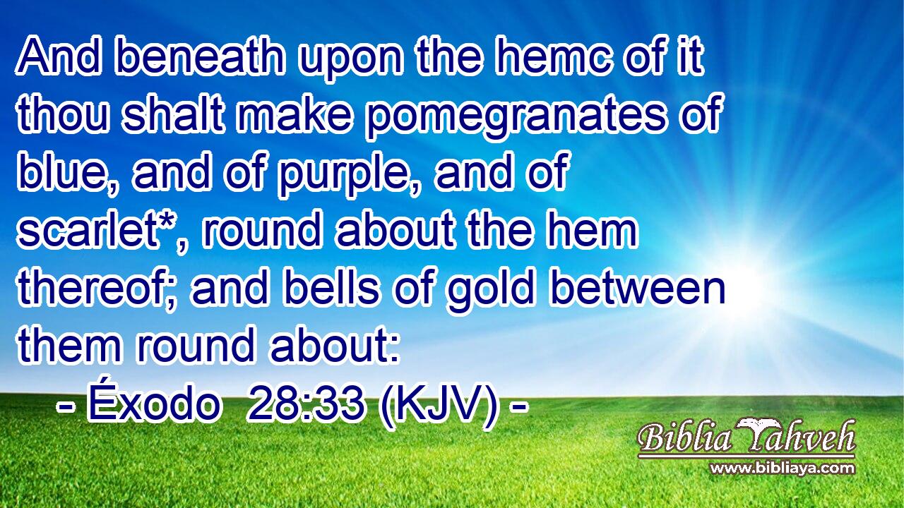 And beneath upon the hemc of it thou shalt make pomegranates of blue, and of purple, and of scarlet*, round about the hem thereof; and bells of gold between them round about: