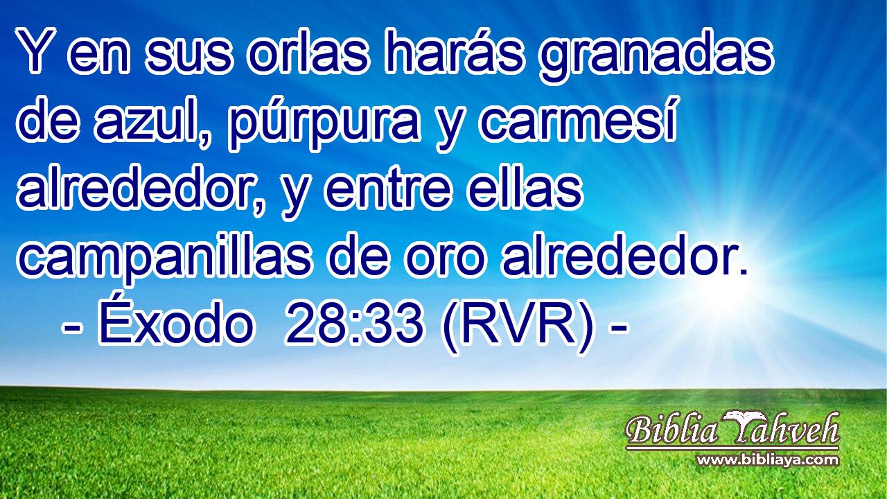Y en sus orlas harás granadas de azul, púrpura y carmesí alrededor, y entre ellas campanillas de oro alrededor.
