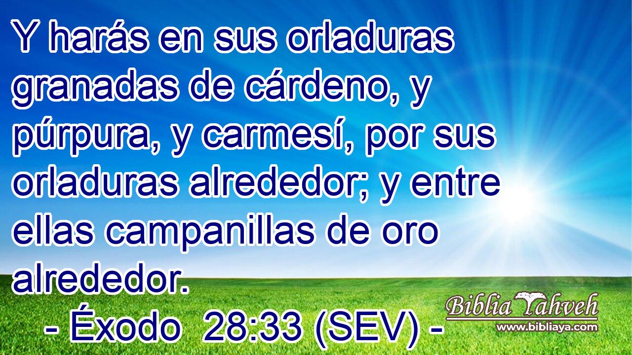 Y harás en sus orladuras granadas de cárdeno, y púrpura, y carmesí, por sus orladuras alrededor; y entre ellas campanillas de oro alrededor.