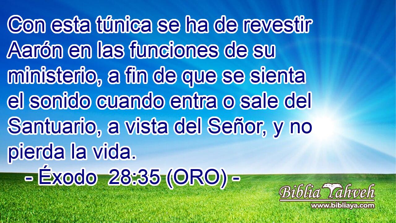  Con esta túnica se ha de revestir Aarón en las funciones de su ministerio, a fin de que se sienta el sonido cuando entra o sale del Santuario, a vista del Señor, y no pierda la vida. 