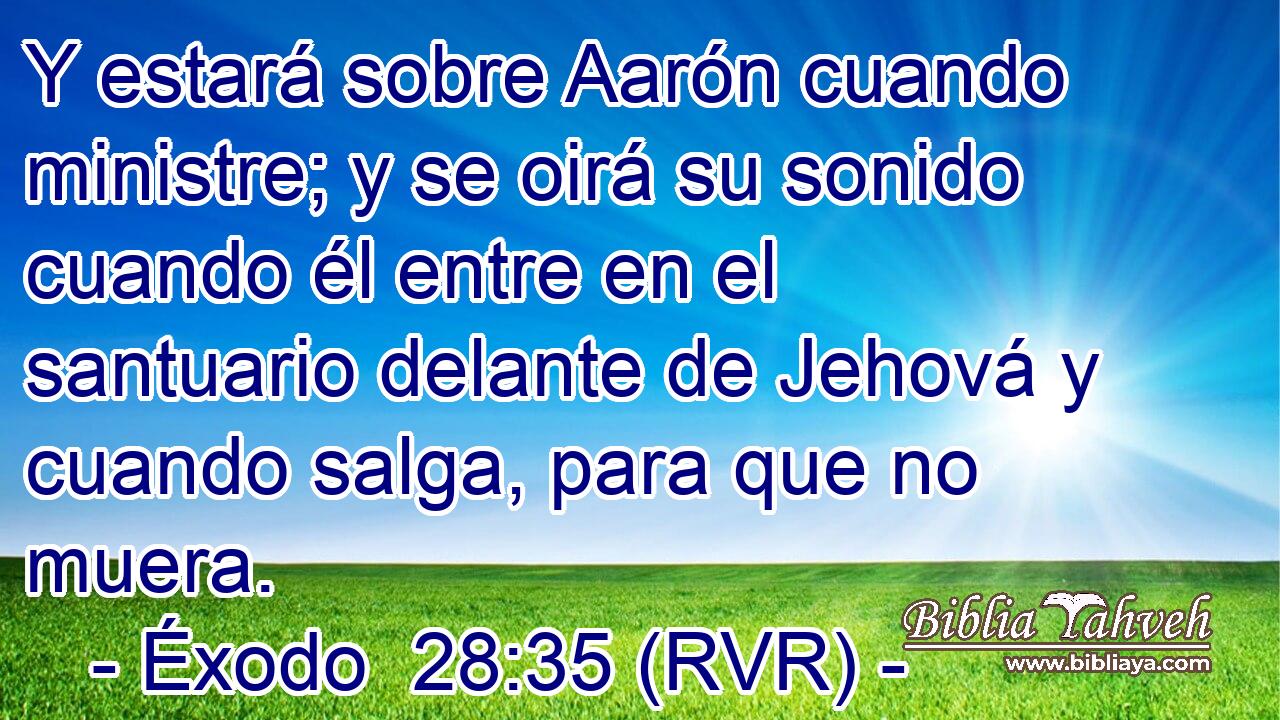 Y estará sobre Aarón cuando ministre; y se oirá su sonido cuando él entre en el santuario delante de Jehová y cuando salga, para que no muera.