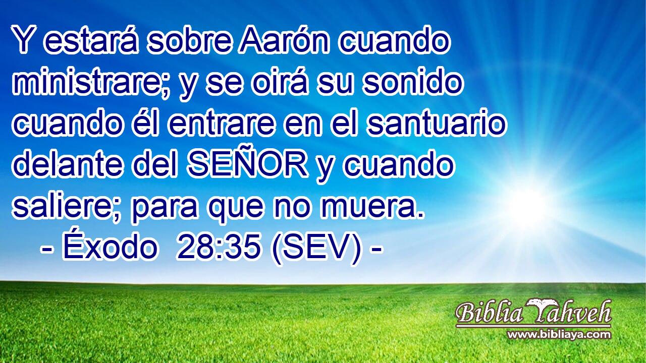 Y estará sobre Aarón cuando ministrare; y se oirá su sonido cuando él entrare en el santuario delante del SEÑOR y cuando saliere; para que no muera.