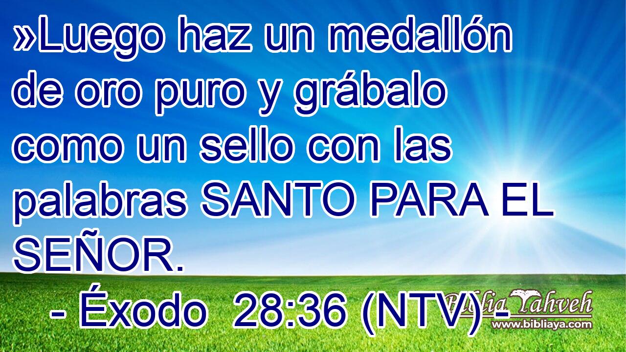 »Luego haz un medallón de oro puro y grábalo como un sello con las palabras SANTO PARA EL SEÑOR.
