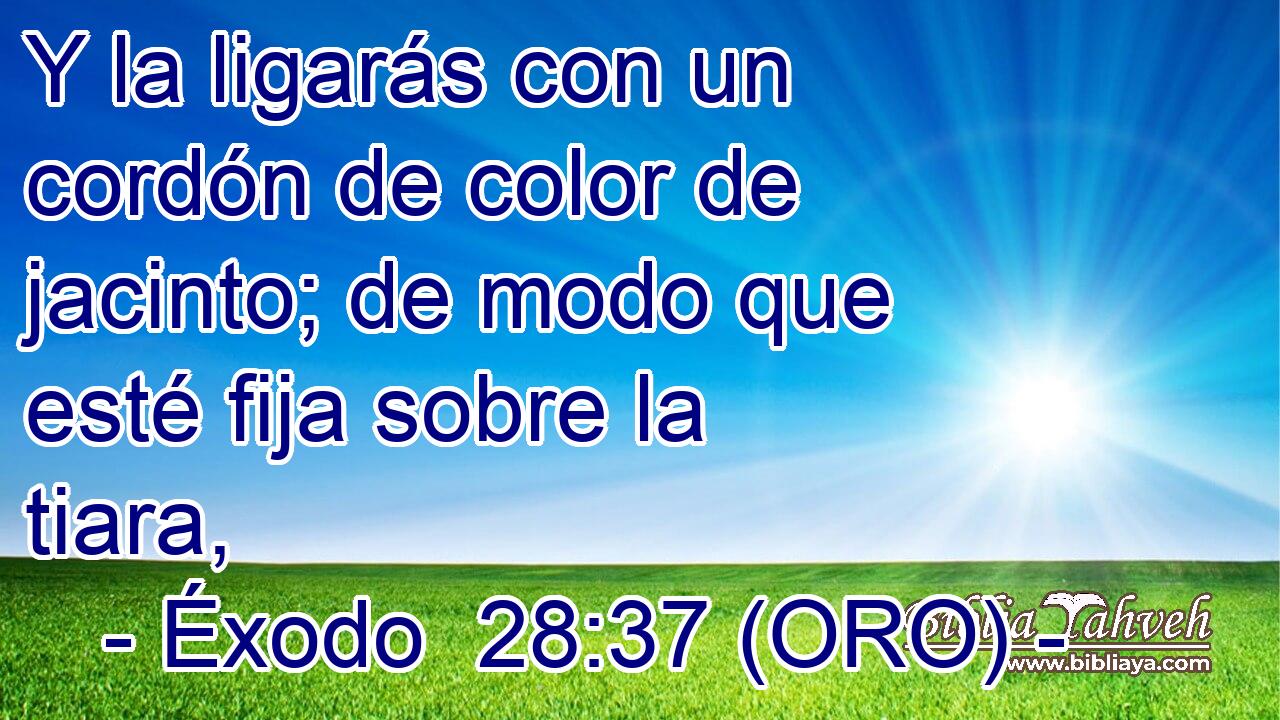  Y la ligarás con un cordón de color de jacinto; de modo que esté fija sobre la tiara, 