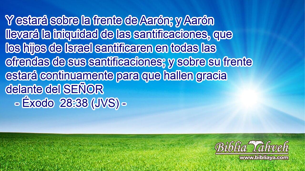 Y estará sobre la frente de Aarón; y Aarón llevará la iniquidad de las santificaciones, que los hijos de Israel santificaren en todas las ofrendas de sus santificaciones; y sobre su frente estará continuamente para que hallen gracia delante del SEÑOR