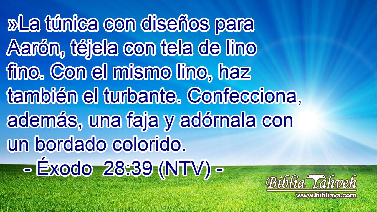 »La túnica con diseños para Aarón, téjela con tela de lino fino. Con el mismo lino, haz también el turbante. Confecciona, además, una faja y adórnala con un bordado colorido.