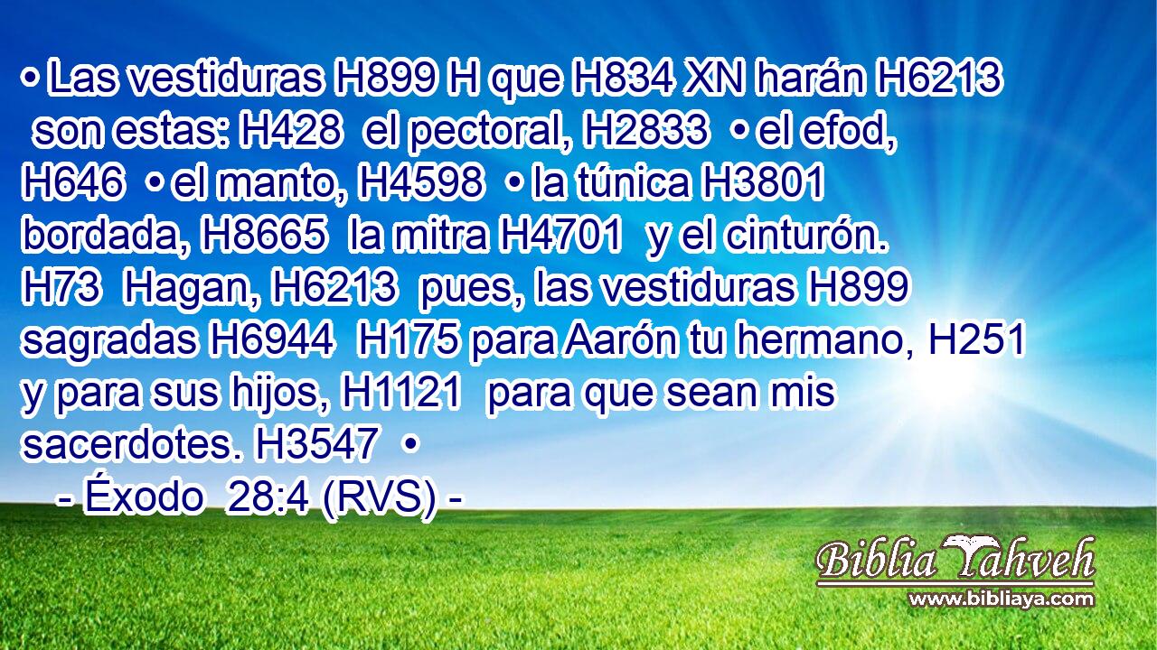 • Las vestiduras H899 H que H834 XN harán H6213  son estas: H428  el pectoral, H2833  • el efod, H646  • el manto, H4598  • la túnica H3801  bordada, H8665  la mitra H4701  y el cinturón. H73  Hagan, H6213  pues, las vestiduras H899  sagradas H6944  H175 para Aarón tu hermano, H251  y para sus hijos, H1121  para que sean mis sacerdotes. H3547  • 