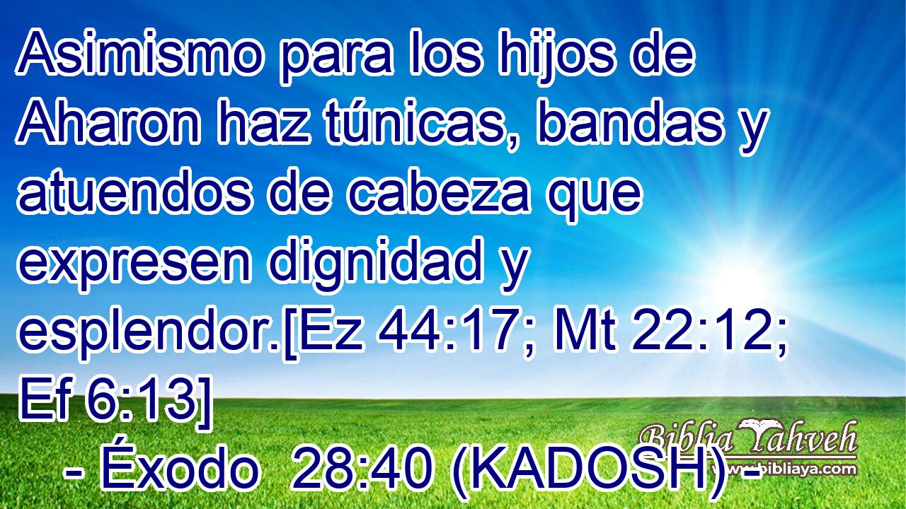  Asimismo para los hijos de Aharon haz túnicas, bandas y atuendos de cabeza que expresen dignidad y esplendor.[Ez 44:17; Mt 22:12; Ef 6:13] 