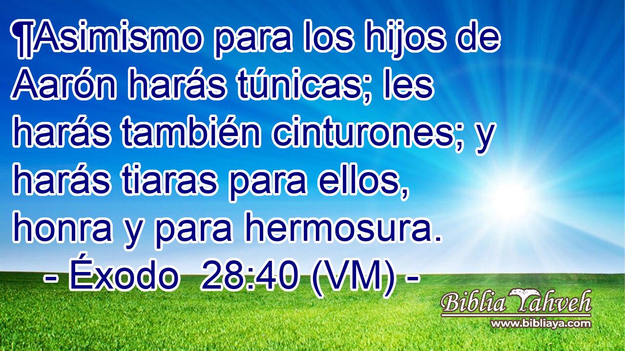  ¶Asimismo para los hijos de Aarón harás túnicas; les harás también cinturones; y harás tiaras para ellos, honra y para hermosura. 