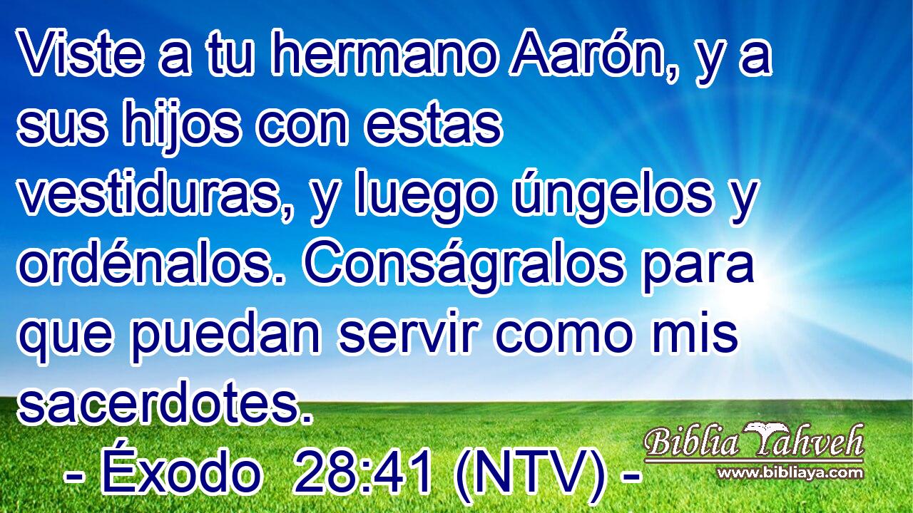 Viste a tu hermano Aarón, y a sus hijos con estas vestiduras, y luego úngelos y ordénalos. Conságralos para que puedan servir como mis sacerdotes.