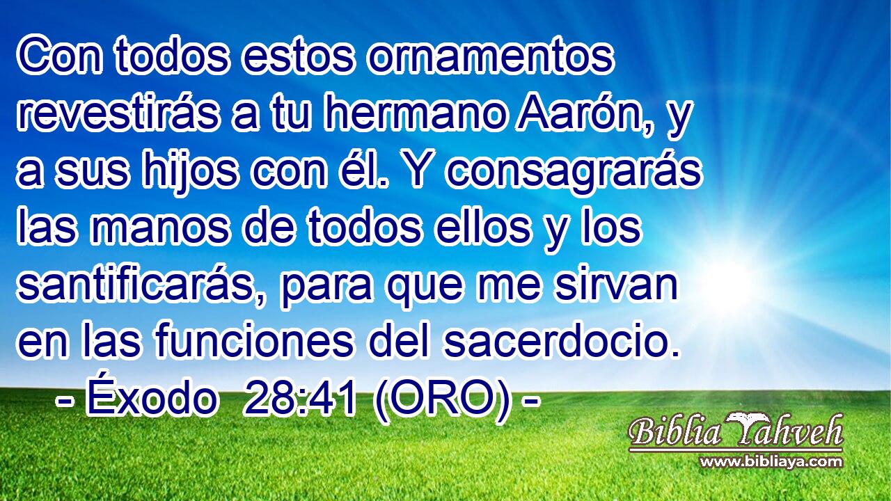  Con todos estos ornamentos revestirás a tu hermano Aarón, y a sus hijos con él. Y consagrarás las manos de todos ellos y los santificarás, para que me sirvan en las funciones del sacerdocio. 