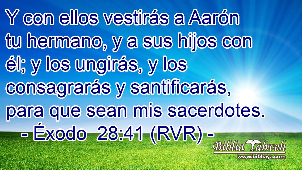 Y con ellos vestirás a Aarón tu hermano, y a sus hijos con él; y los ungirás, y los consagrarás y santificarás, para que sean mis sacerdotes.