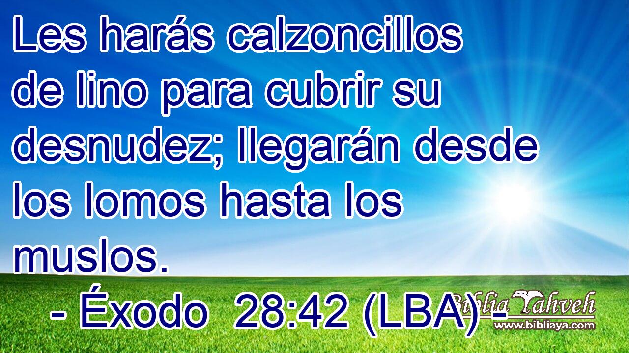 Les harás calzoncillos de lino para cubrir su desnudez; llegarán desde los lomos hasta los muslos.