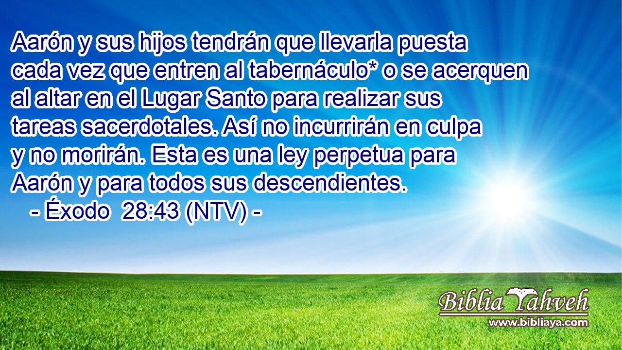 Aarón y sus hijos tendrán que llevarla puesta cada vez que entren al tabernáculo* o se acerquen al altar en el Lugar Santo para realizar sus tareas sacerdotales. Así no incurrirán en culpa y no morirán. Esta es una ley perpetua para Aarón y para todos sus descendientes.