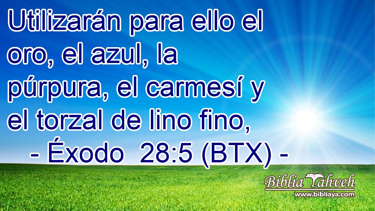 Utilizarán para ello el oro, el azul, la púrpura, el carmesí y el torzal de lino fino,