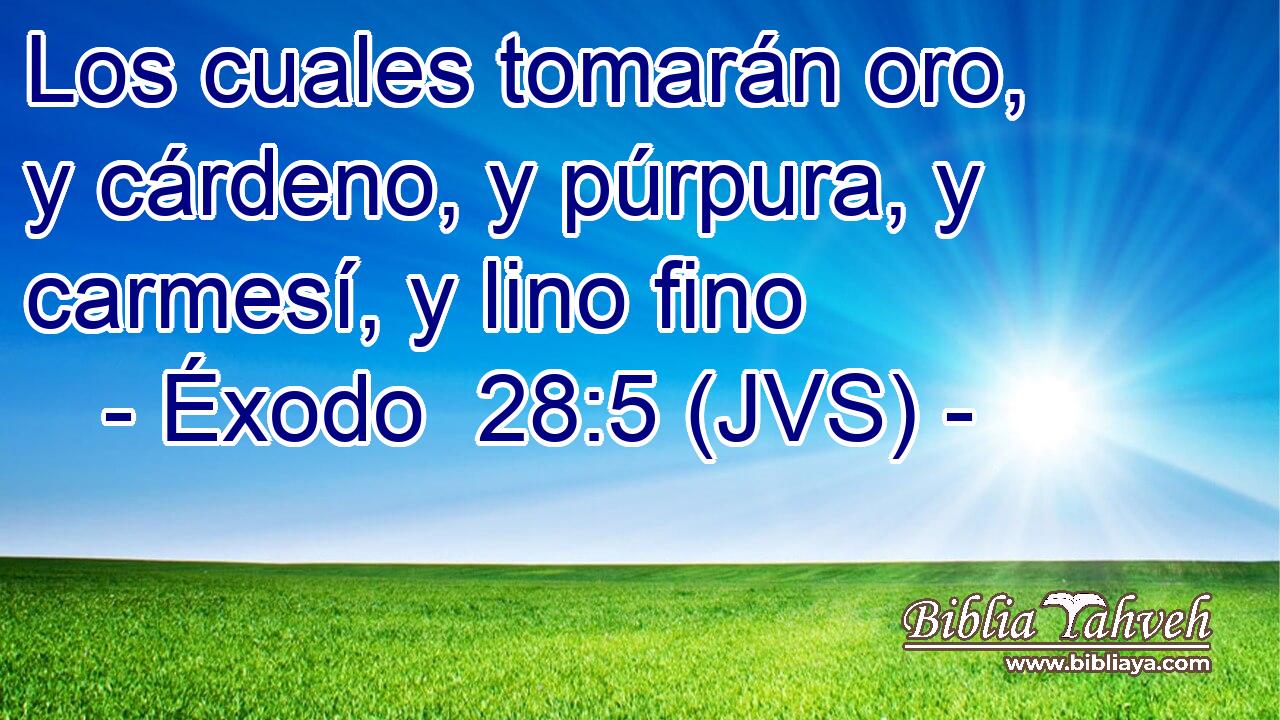Los cuales tomarán oro, y cárdeno, y púrpura, y carmesí, y lino fino