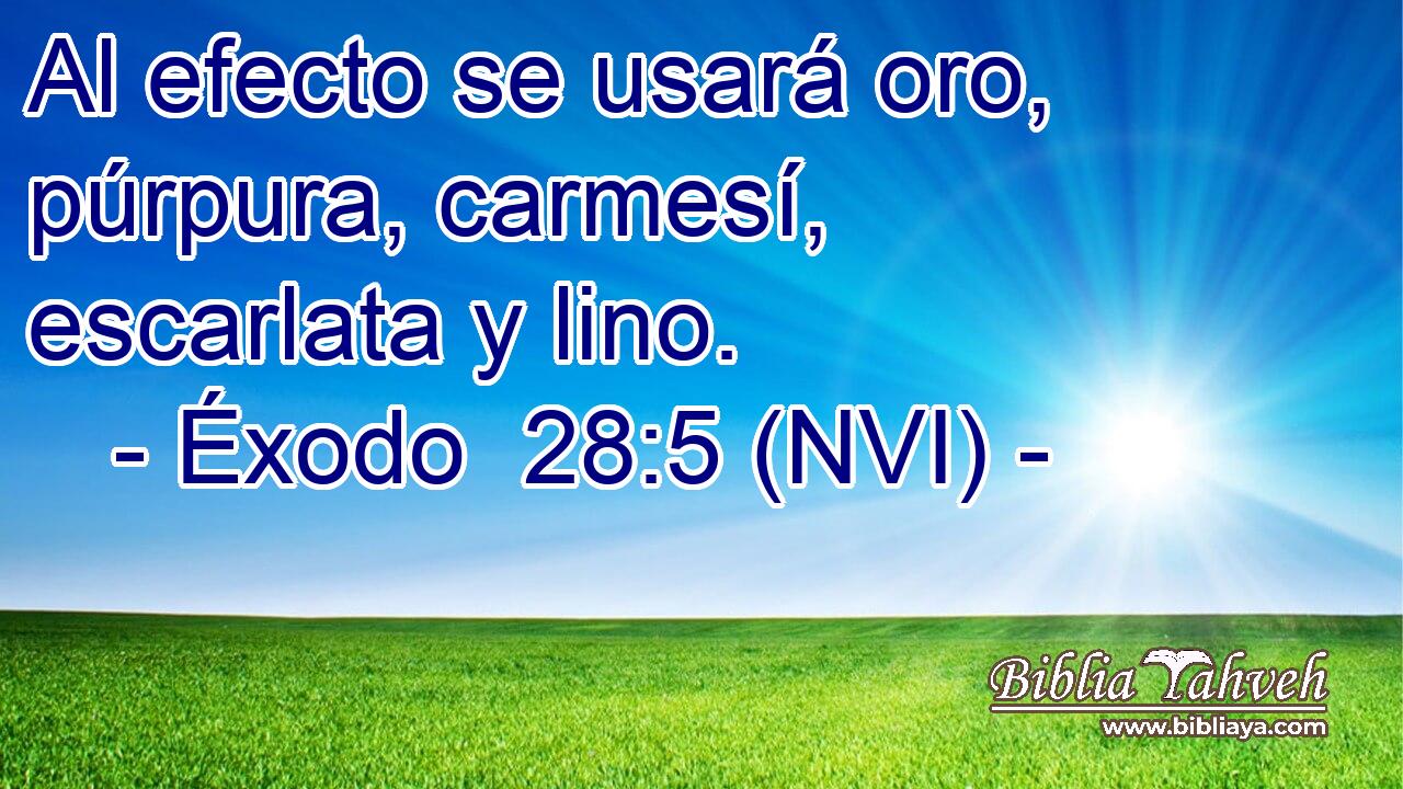  Al efecto se usará oro, púrpura, carmesí, escarlata y lino. 