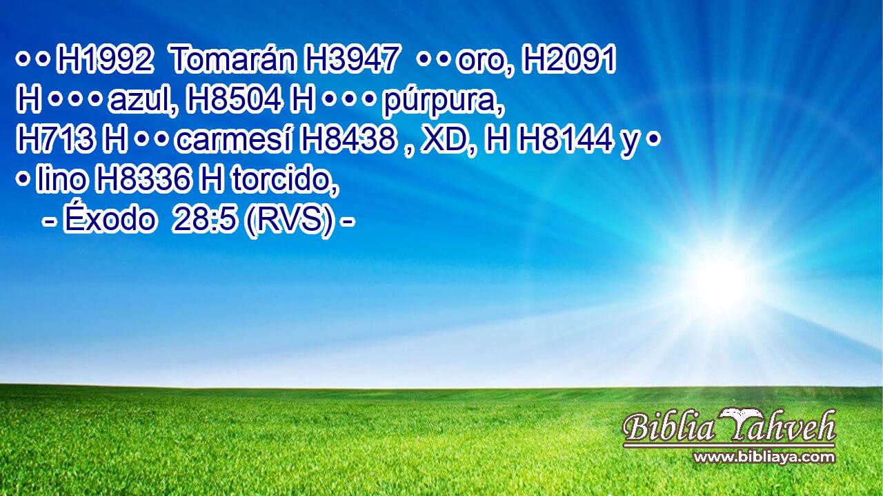 • • H1992  Tomarán H3947  • • oro, H2091 H • • • azul, H8504 H • • • púrpura, H713 H • • carmesí H8438 , XD, H H8144 y • • lino H8336 H torcido, 