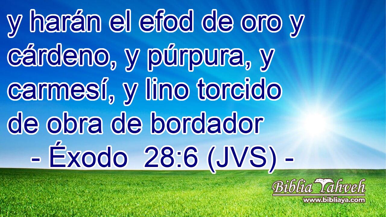 y harán el efod de oro y cárdeno, y púrpura, y carmesí, y lino torcido de obra de bordador
