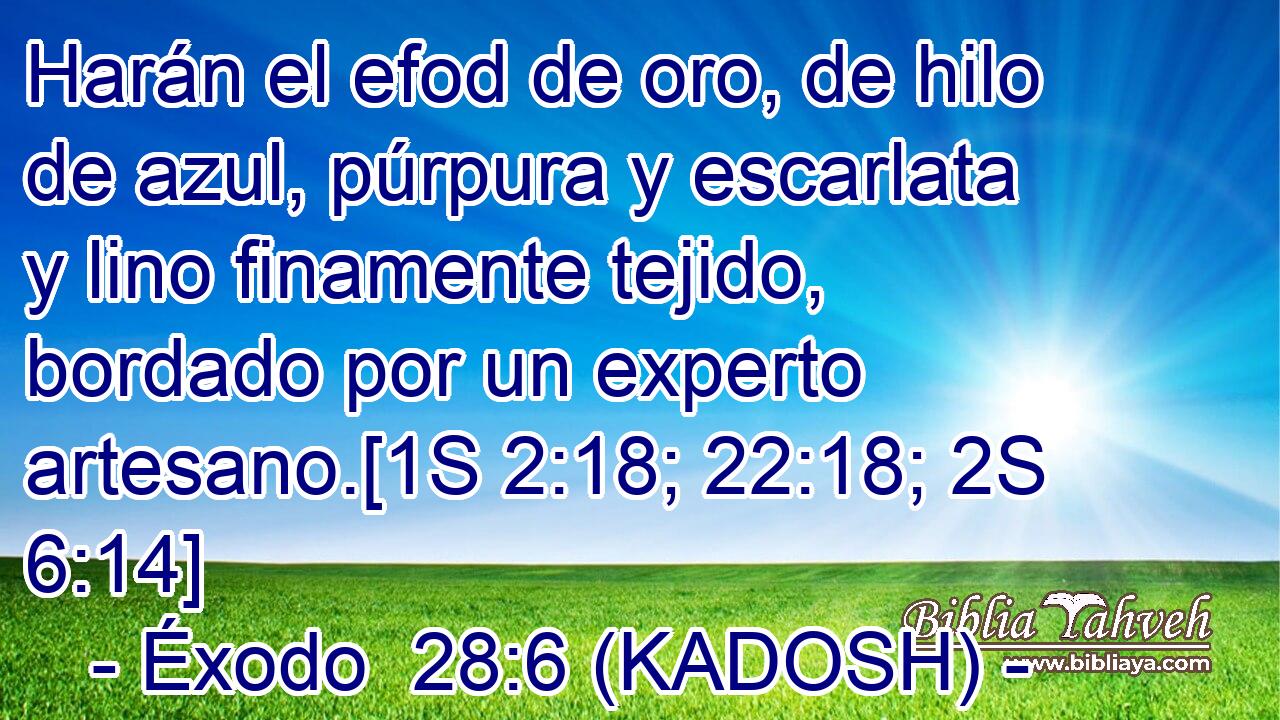  Harán el efod de oro, de hilo de azul, púrpura y escarlata y lino finamente tejido, bordado por un experto artesano.[1S 2:18; 22:18; 2S 6:14] 