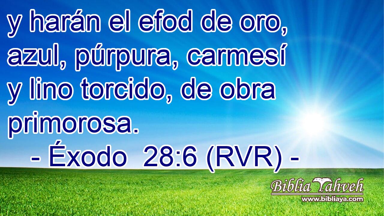 y harán el efod de oro, azul, púrpura, carmesí y lino torcido, de obra primorosa.