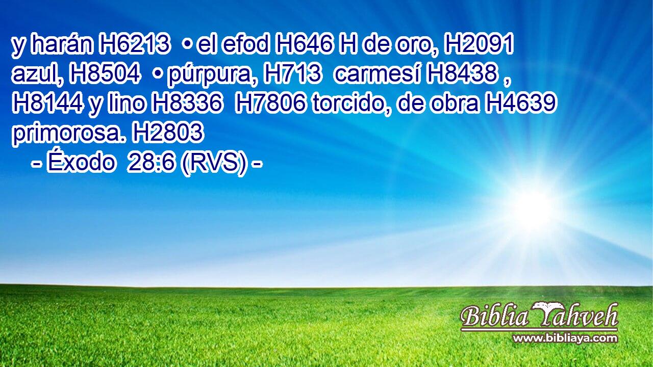 y harán H6213  • el efod H646 H de oro, H2091  azul, H8504  • púrpura, H713  carmesí H8438 ,  H8144 y lino H8336  H7806 torcido, de obra H4639  primorosa. H2803  
