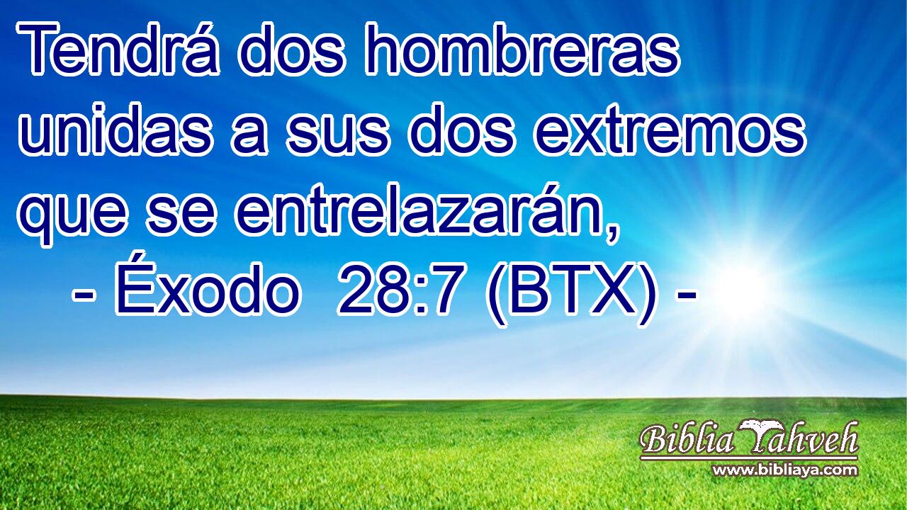 Tendrá dos hombreras unidas a sus dos extremos que se entrelazarán,