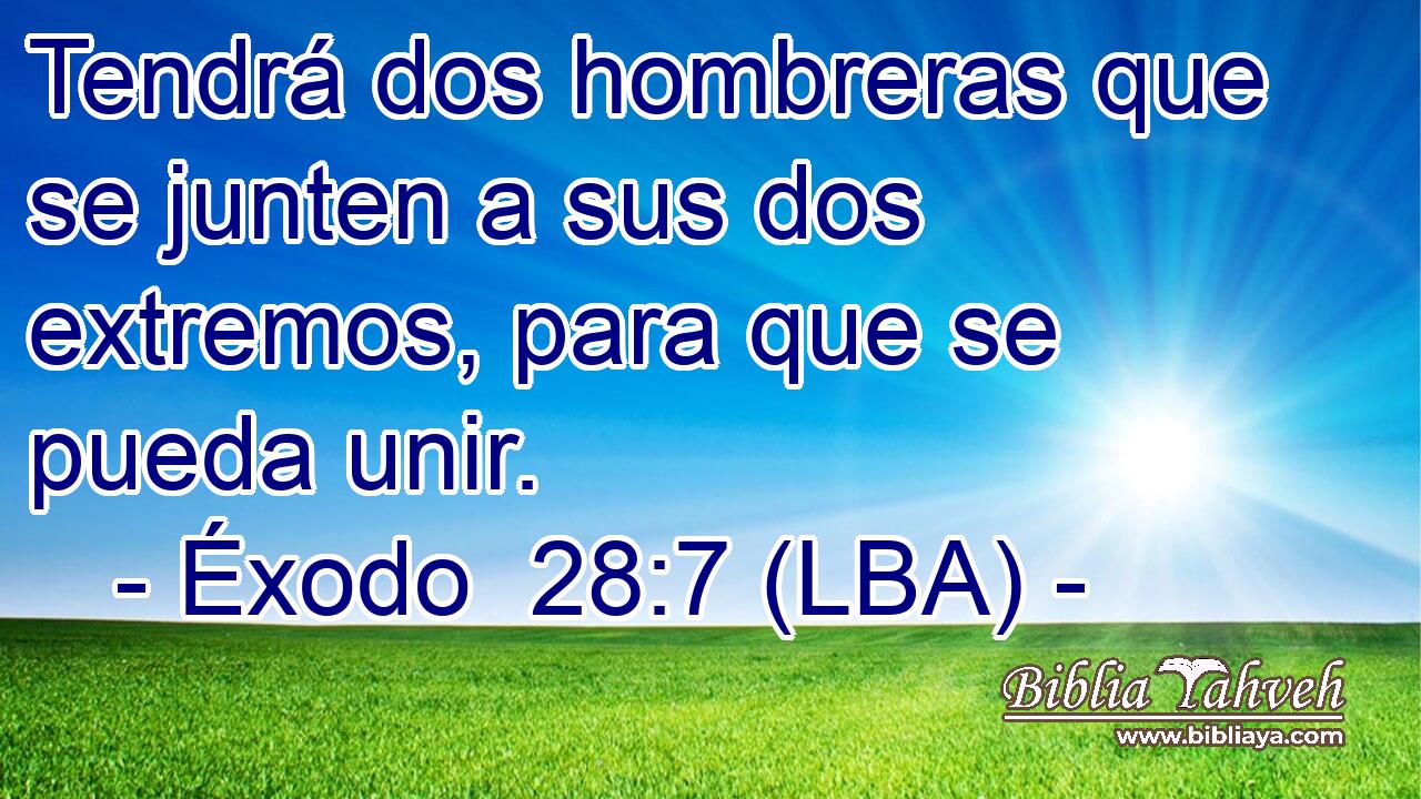 Tendrá dos hombreras que se junten a sus dos extremos, para que se pueda unir.