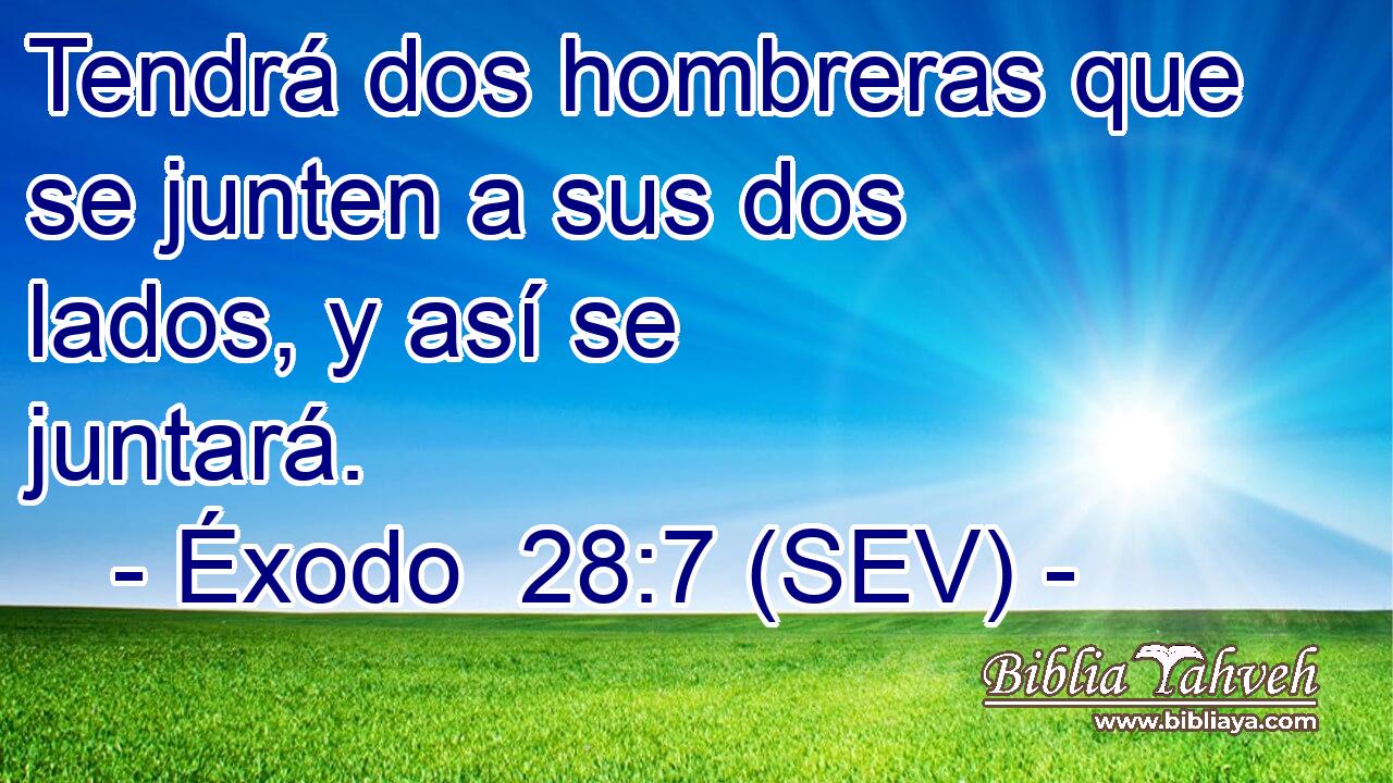 Tendrá dos hombreras que se junten a sus dos lados, y así se juntará.