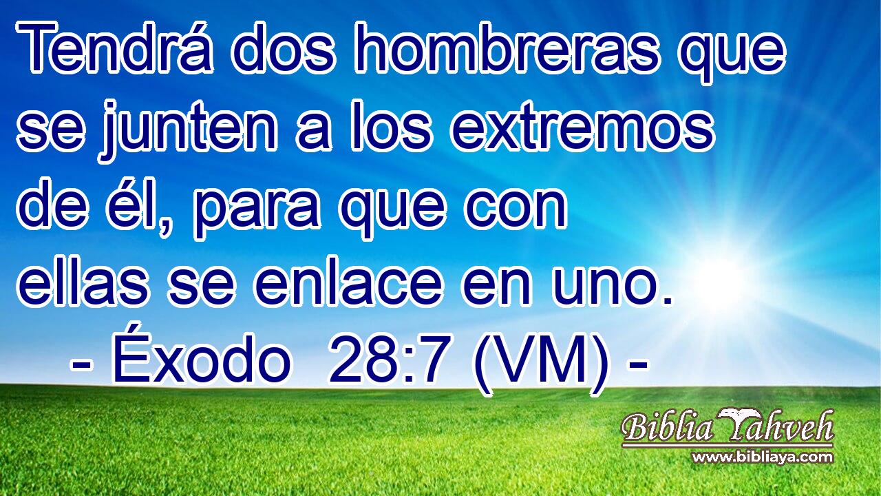  Tendrá dos hombreras que se junten a los extremos de él, para que con ellas se enlace en uno. 