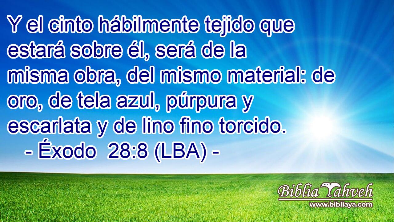 Y el cinto hábilmente tejido que estará sobre él, será de la misma obra, del mismo material: de oro, de tela azul, púrpura y escarlata y de lino fino torcido.