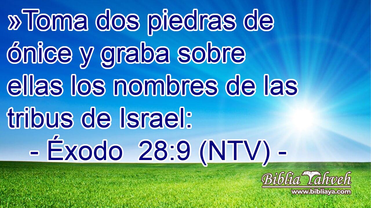 »Toma dos piedras de ónice y graba sobre ellas los nombres de las tribus de Israel: